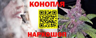 jwh Камышлов