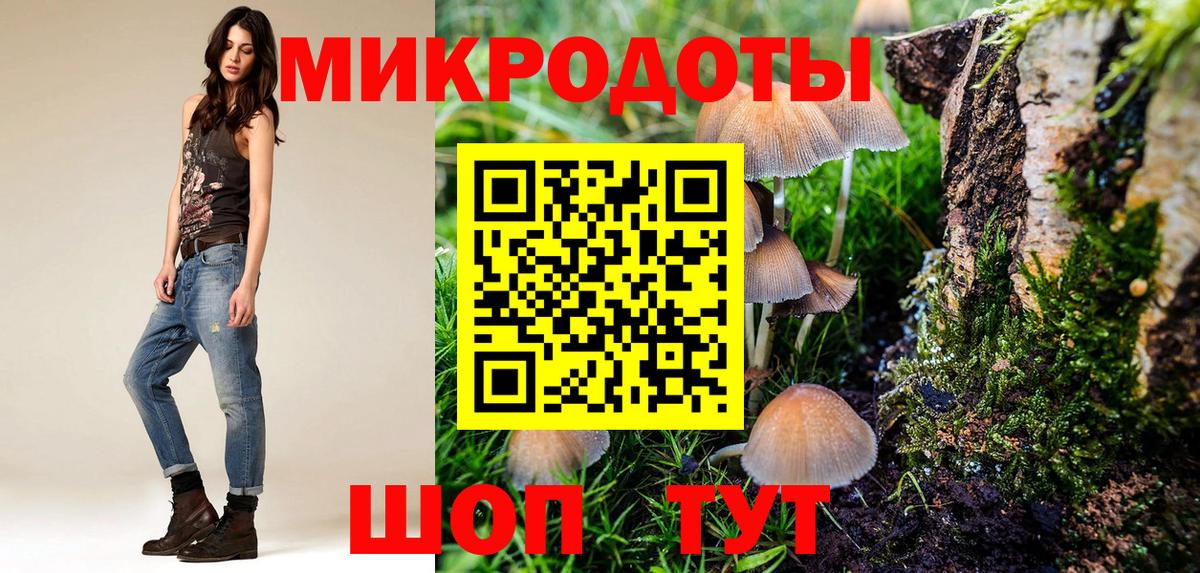 Псилоцибиновые грибы мухоморы  Псилоцибиновые грибы мицелий  Вход с VPN  Чернушка 